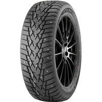 DoubleStar 195/65R15 91T Winterking DW01 (шип.)