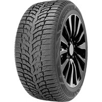 DoubleStar 175/65R15 84T Winterking DW08